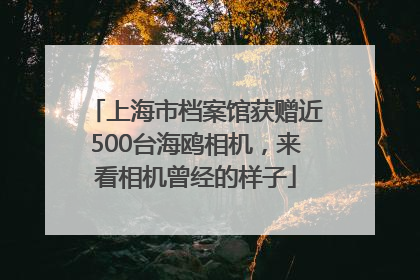 上海市档案馆获赠近500台海鸥相机，来看相机曾经的样子