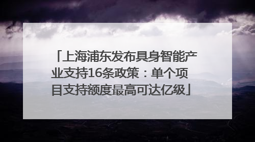 上海浦东发布具身智能产业支持16条政策：单个项目支持额度最高可达亿级