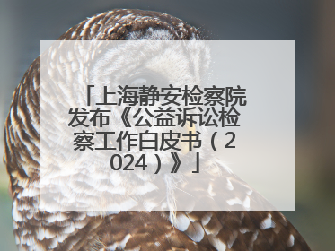 上海静安检察院发布《公益诉讼检察工作白皮书（2024）》