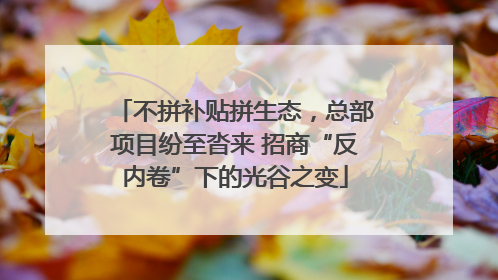 不拼补贴拼生态，总部项目纷至沓来 招商“反内卷”下的光谷之变