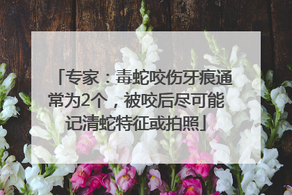 专家：毒蛇咬伤牙痕通常为2个，被咬后尽可能记清蛇特征或拍照