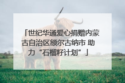 世纪华通爱心捐赠内蒙古自治区额尔古纳市 助力“石榴籽计划”