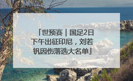 世预赛｜国足2日下午出征印尼，刘若钒因伤落选大名单