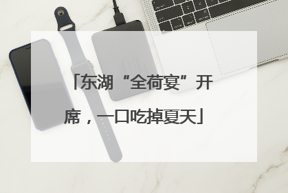 东湖“全荷宴”开席，一口吃掉夏天