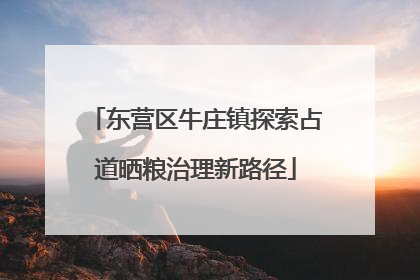东营区牛庄镇探索占道晒粮治理新路径