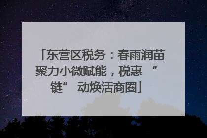 东营区税务：春雨润苗聚力小微赋能，税惠 “链” 动焕活商圈
