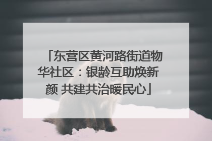 东营区黄河路街道物华社区：银龄互助焕新颜 共建共治暖民心