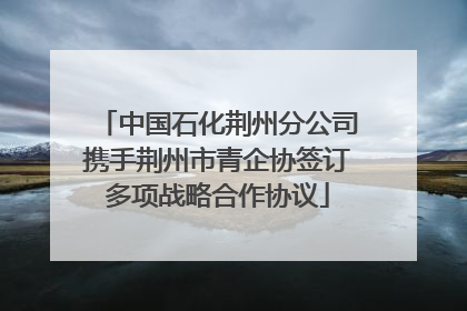 中国石化荆州分公司携手荆州市青企协签订多项战略合作协议