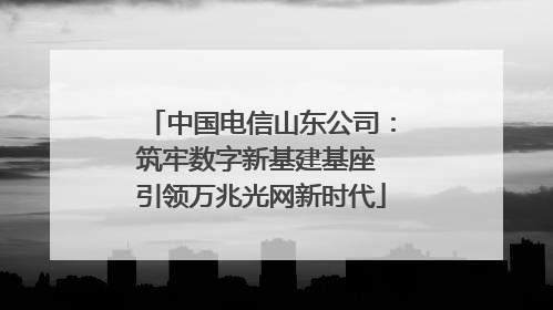 中国电信山东公司：筑牢数字新基建基座 引领万兆光网新时代