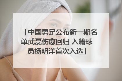 中国男足公布新一期名单武磊伤愈回归 入籍球员杨明洋首次入选
