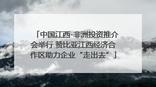 中国江西-非洲投资推介会举行 赞比亚江西经济合作区助力企业“走出去”