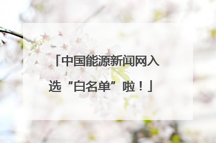 中国能源新闻网入选“白名单”啦！