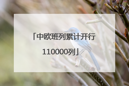中欧班列累计开行110000列
