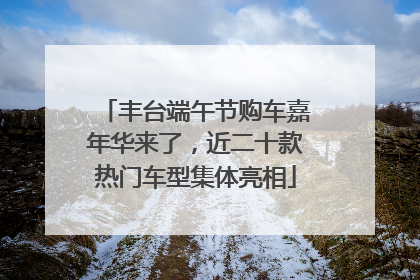 丰台端午节购车嘉年华来了，近二十款热门车型集体亮相