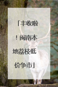 丰收啦！闽南本地荔枝低价争市