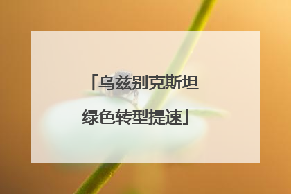 乌兹别克斯坦绿色转型提速