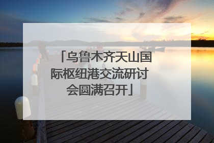 乌鲁木齐天山国际枢纽港交流研讨会圆满召开
