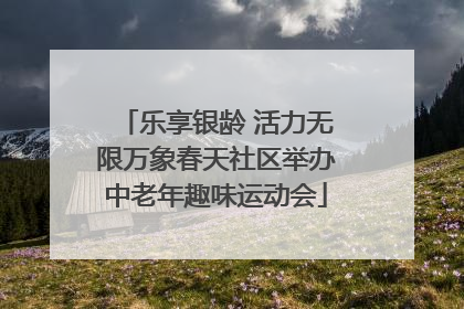 乐享银龄 活力无限万象春天社区举办中老年趣味运动会