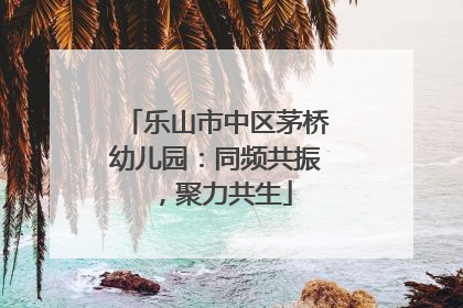 乐山市中区茅桥幼儿园：同频共振，聚力共生