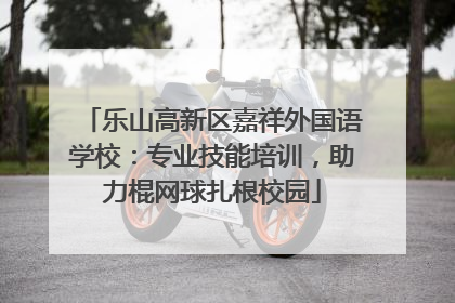 乐山高新区嘉祥外国语学校：专业技能培训，助力棍网球扎根校园