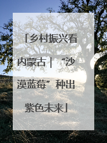 乡村振兴看内蒙古｜“沙漠蓝莓”种出紫色未来