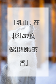 乳山：在北纬37度做出独特茶香