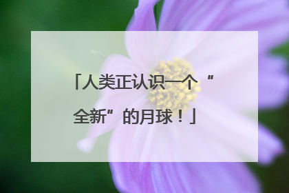 人类正认识一个“全新”的月球！