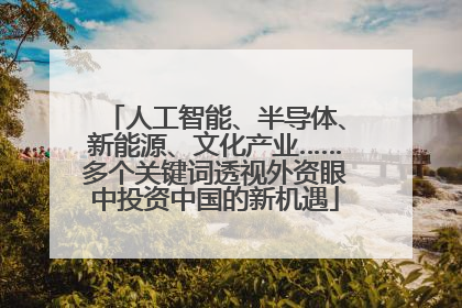 人工智能、半导体、新能源、文化产业……多个关键词透视外资眼中投资中国的新机遇