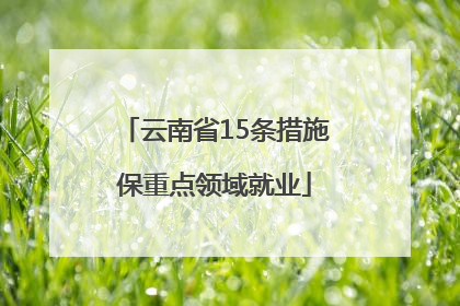 云南省15条措施保重点领域就业