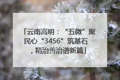 云南嵩明：“五微”聚民心“3456”筑基石，精治善治谱新篇