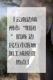云南边境州市“组团”招商 边民互市落地加工成投资热点