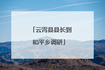 云霄县县长到和平乡调研