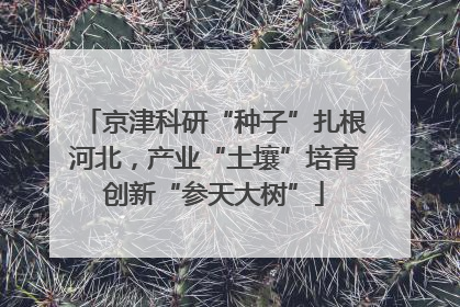 京津科研“种子”扎根河北，产业“土壤”培育创新“参天大树”