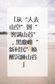 从“人去山空”到“客满山谷”，黑麋峰“新村民”唤醒沉睡山谷
