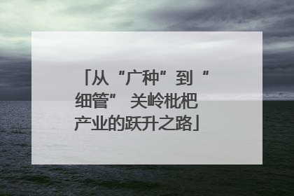 从“广种”到“细管” 关岭枇杷产业的跃升之路