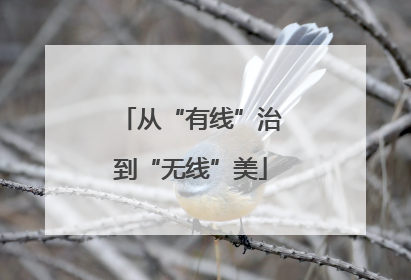 从“有线”治到“无线”美