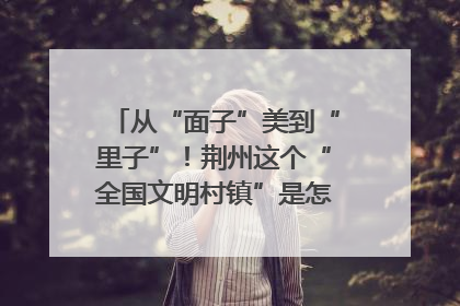 从“面子”美到“里子”！荆州这个“全国文明村镇”是怎样炼成的？