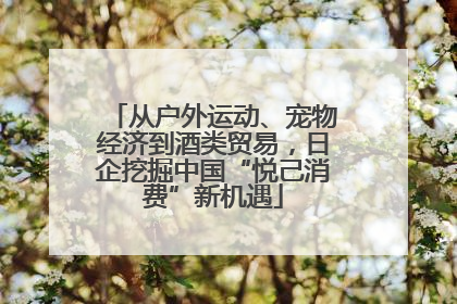 从户外运动、宠物经济到酒类贸易，日企挖掘中国“悦己消费”新机遇