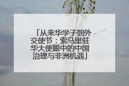 从来华学子到外交使节：索马里驻华大使眼中的中国治理与非洲机遇