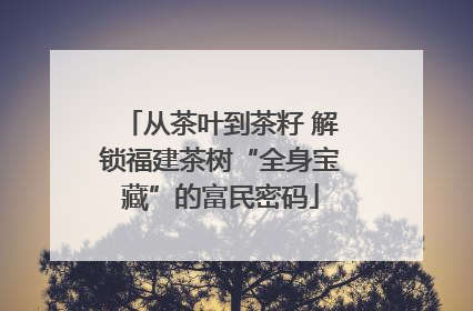 从茶叶到茶籽 解锁福建茶树“全身宝藏”的富民密码
