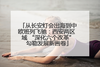 从长安灯会出海到中欧班列飞驰：西安两区域 “深化六个改革” 勾勒发展新画卷