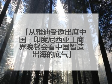 从雅迪受邀出席中国－印度尼西亚工商界晚餐会看中国智造出海的底气