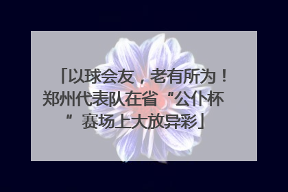以球会友，老有所为！郑州代表队在省“公仆杯”赛场上大放异彩