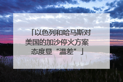 以色列和哈马斯对美国的加沙停火方案态度显“温差”