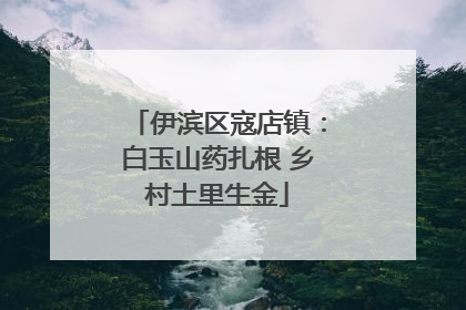 伊滨区寇店镇：白玉山药扎根 乡村土里生金