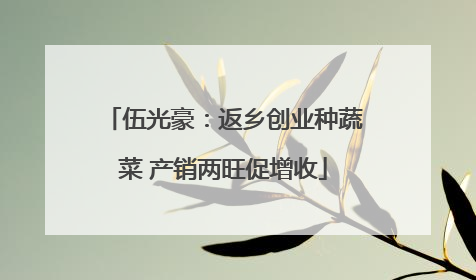 伍光豪：返乡创业种蔬菜 产销两旺促增收
