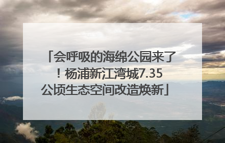会呼吸的海绵公园来了！杨浦新江湾城7.35公顷生态空间改造焕新