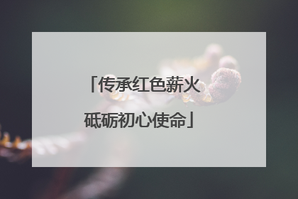 传承红色薪火 砥砺初心使命