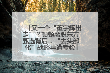又一个“董宇辉出走”？顿顿离职东方甄选背后：“去头部化”战略再遭考验