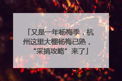 又是一年杨梅季，杭州这里大棚杨梅已熟，“采摘攻略”来了